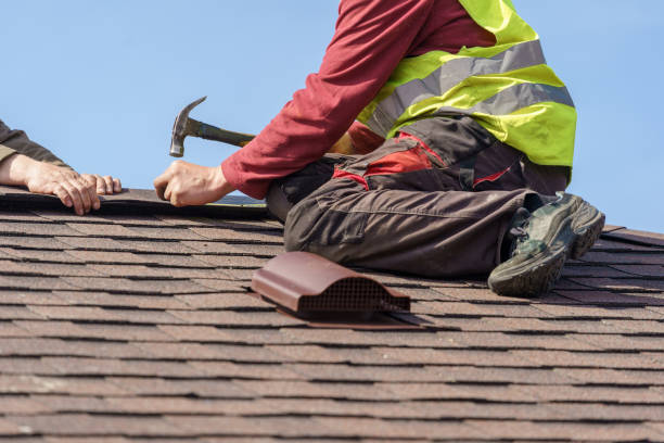 Roof Gutter Cleaning in Monroe, GA