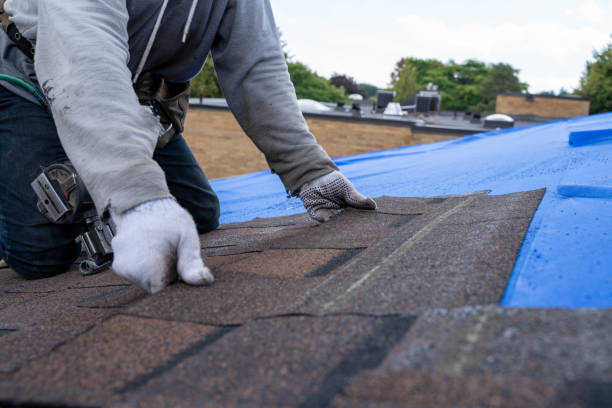 Best Storm Damage Roof Repair  in Monroe, GA