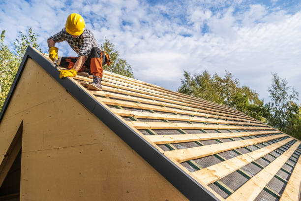 Best Roof Gutter Cleaning  in Monroe, GA