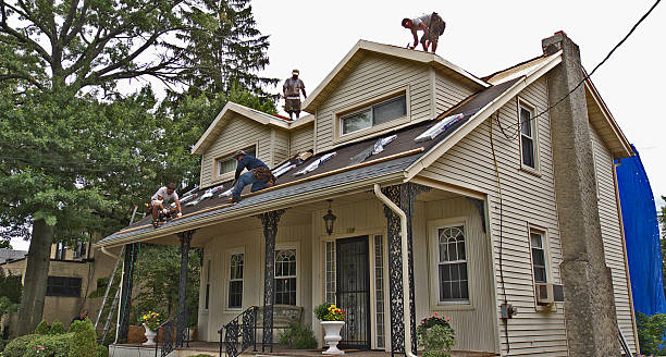 Best Gutter Installation and Roofing  in Monroe, GA